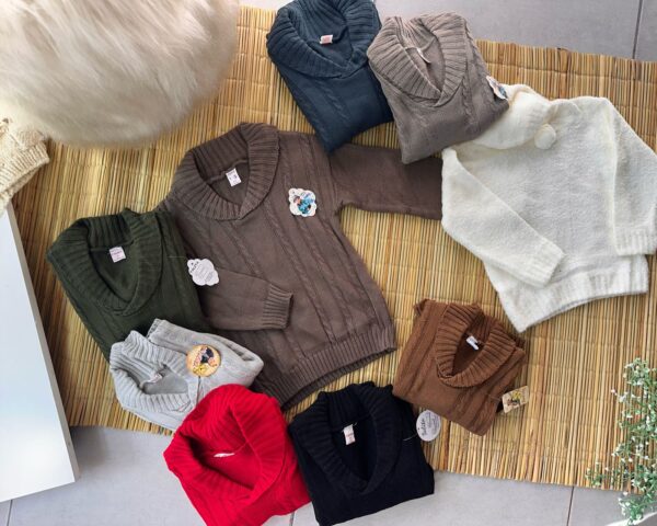 SWEATER CUELLO V (X5)