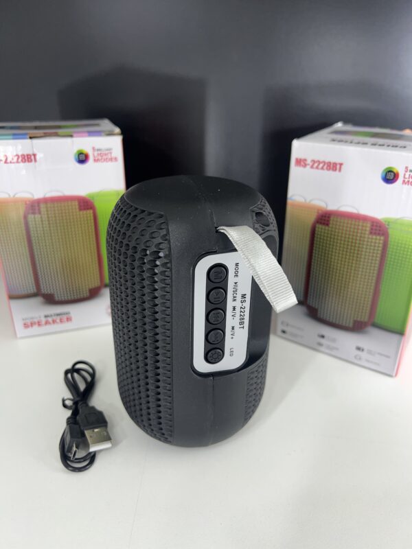🔊 PARLANTE VIAJERO CON LUCES LED (x1) - Imagen 3