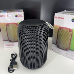 🔊 PARLANTE VIAJERO CON LUCES LED (x1)
