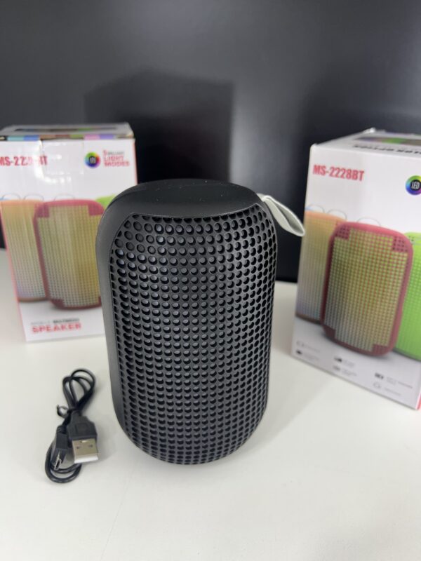 🔊 PARLANTE VIAJERO CON LUCES LED (x1)