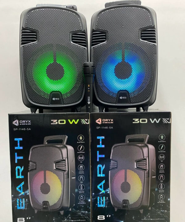 🎤 PARLANTE KARAOKE ORYX EARTH 8” – 30W (x1)
