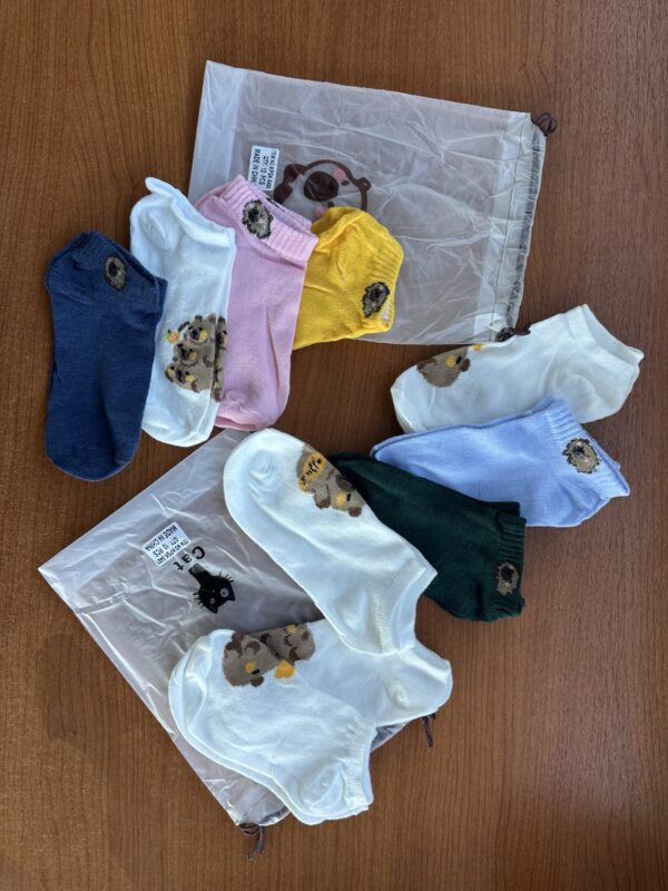 🧦 PACK x10 MEDIAS CAPIBARA (X1)