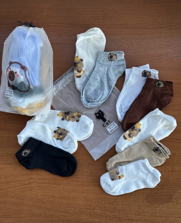 🧦 PACK x10 MEDIAS CAPIBARA (X1) - Imagen 3