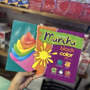 BLOCK COLOR Nº5 x24 (x1)